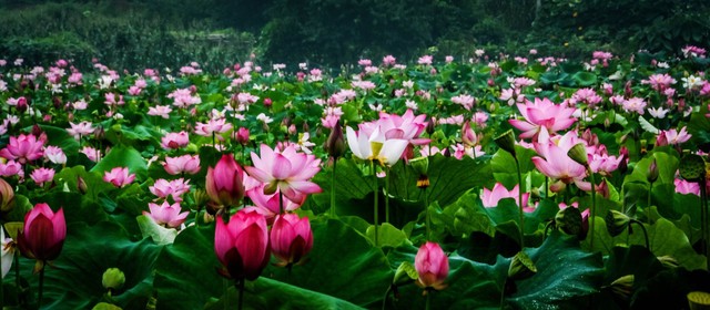 湖南低调城市排名,湖南邵阳哪个县最偏僻