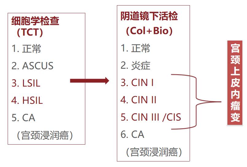 宫颈病变的诊断与治疗科普,宫颈低度病变如何治疗