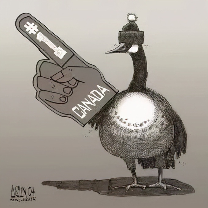 加拿大鹅羽绒服官方正品鸭绒,加拿大鹅羽绒服虚假宣传事件