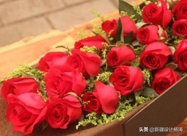 卡罗拉花怎么养殖,卡罗拉怎么养开花