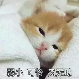 痛得拔光一排牙！解决炸裂“天下第一痛”一根套管针显乾坤