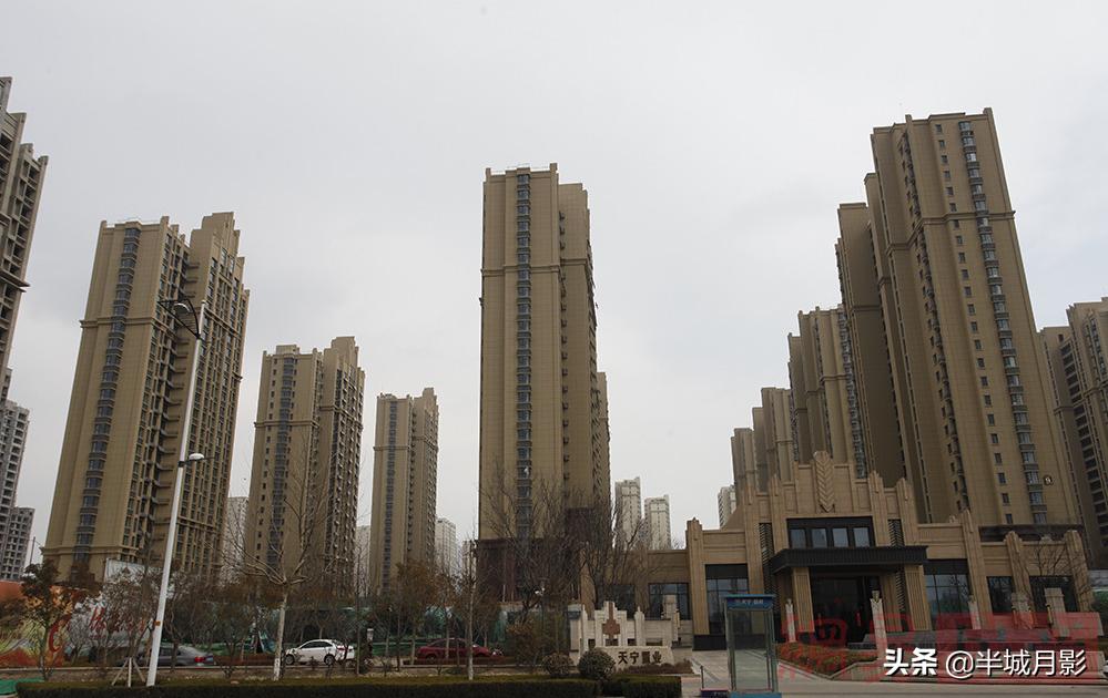 学区房最热,最热学区房