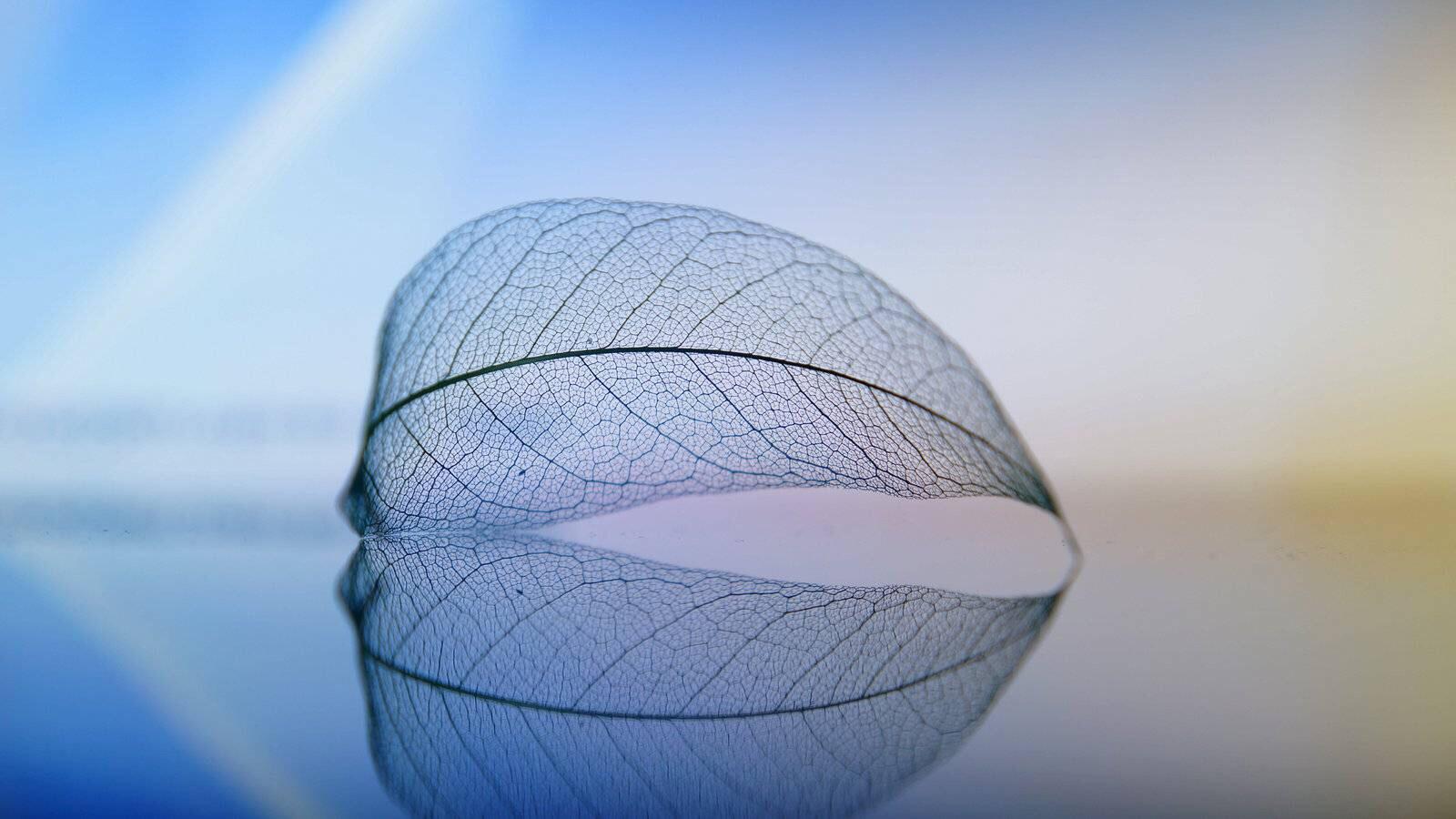 如何剪辑制作跟客户交流的视频,介绍公司业务的视频剪辑技巧