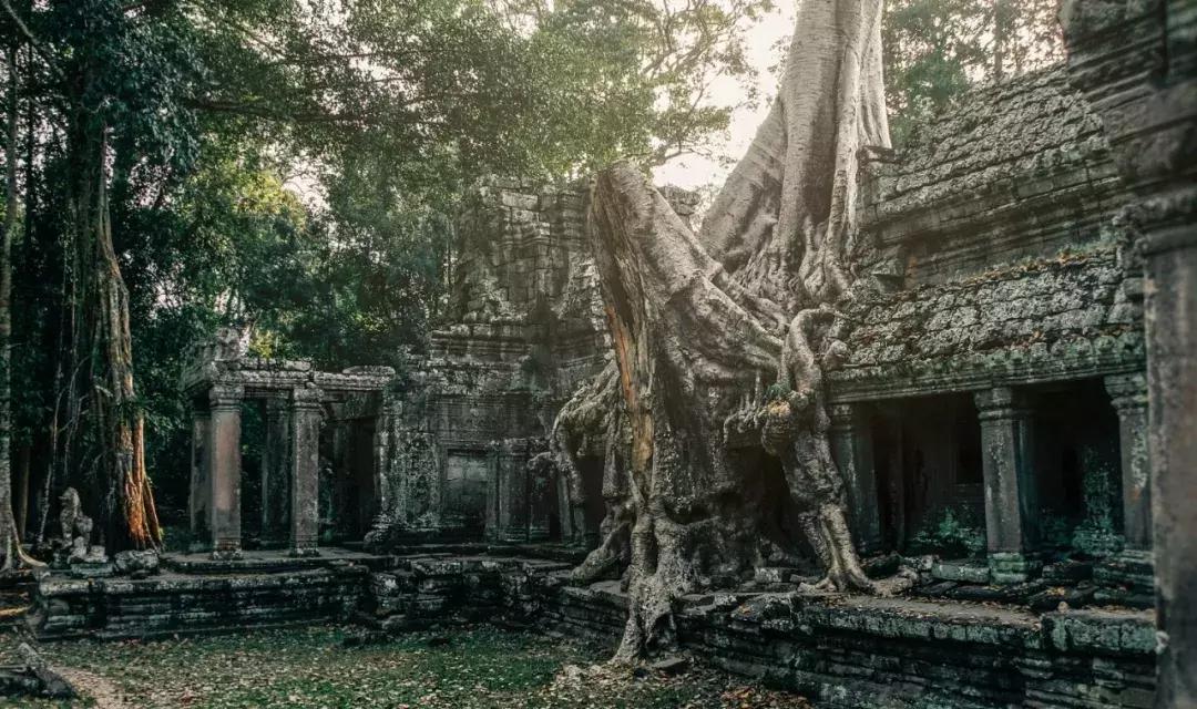 杭州直飞韩国旅游,杭州可以直飞哪些地方