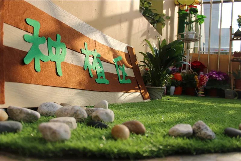 郭杜街道茅坡幼儿园,家门口的好学校幼儿园