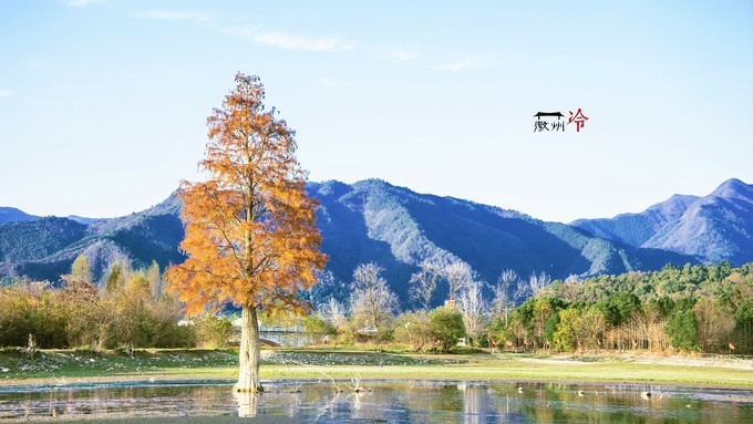 「徽州冷」宏村秋深晴少,友谊地久天