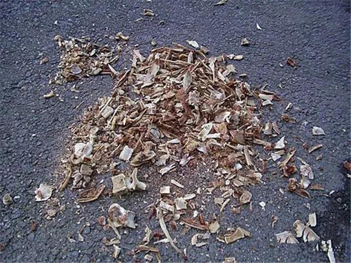 养花最好的颗粒土,碎砖养花的正确方法