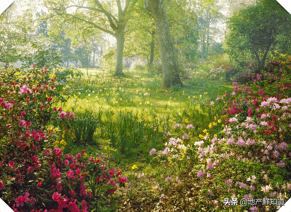 南京升龙公园道檀园,南京升龙公园园道