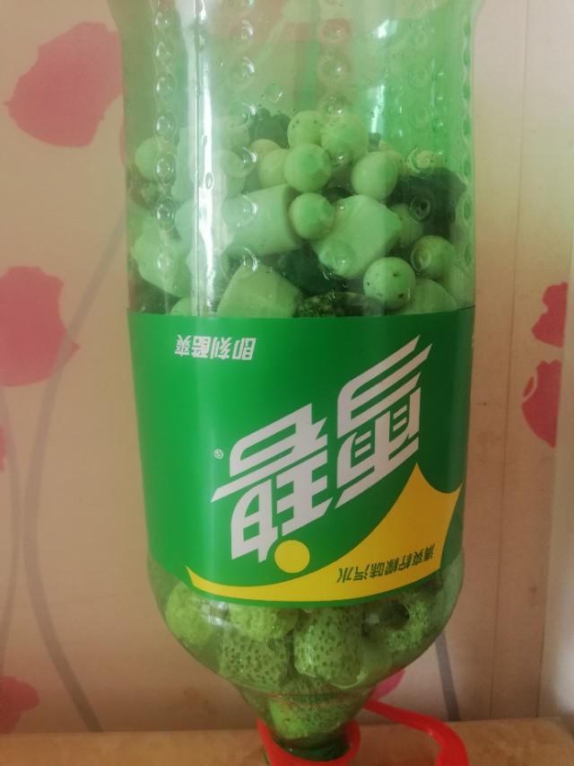 pvc水管自制鱼缸过滤器视频,怎么用雪碧瓶做过滤器养鱼