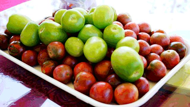 大爱城酒店∣匠心服务社区，每一餐都是亲情的滋味