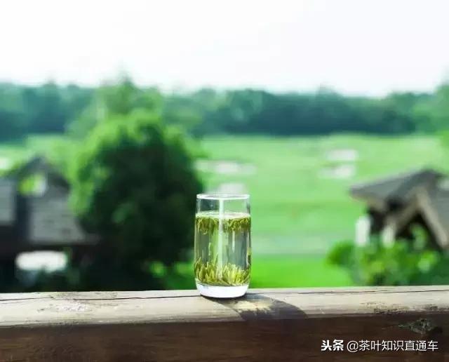 红茶绿茶冷知识,女生绿茶冷知识
