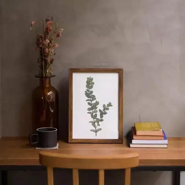 如何制作植物标本书,用小麻薯圆标本做手账