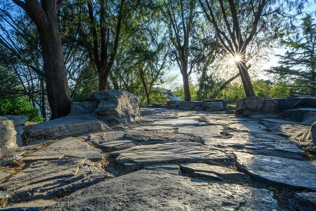 尼康z50mmf1.8,尼康定焦50mmf1.8g镜头拍照效果