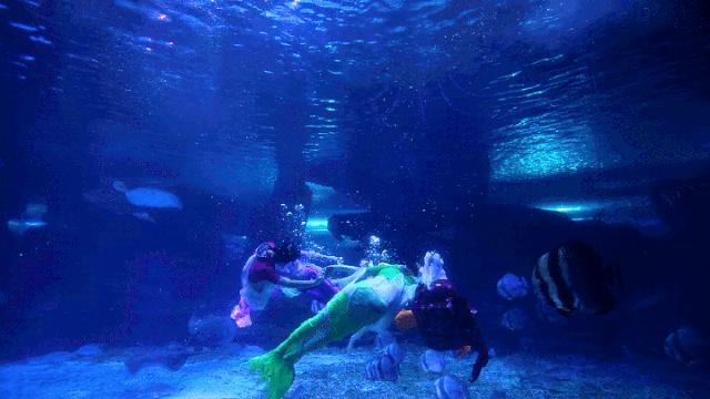 泉城欧乐堡特惠专场,泉城欧乐堡vip票