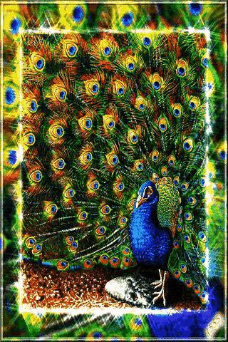 会动的图片100个,会动的10张图片