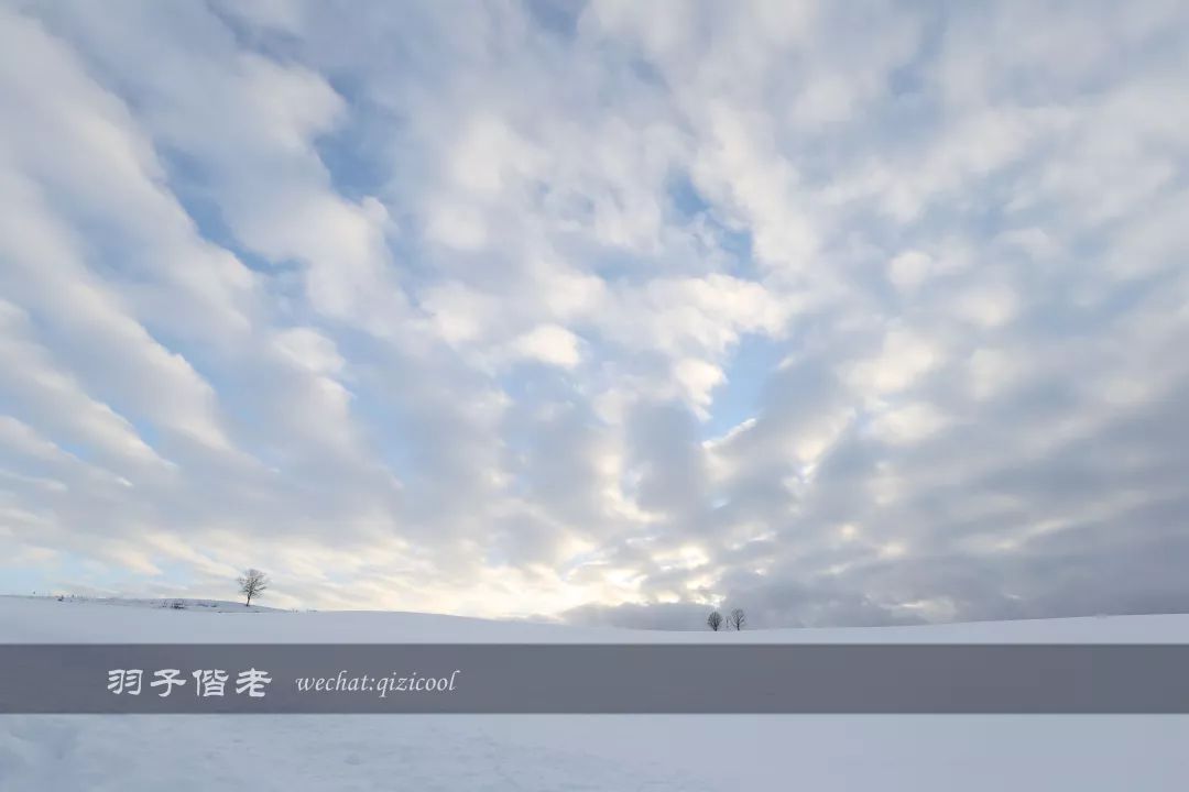 老实说,这一趟北海道就是为了拍好看的照片去的