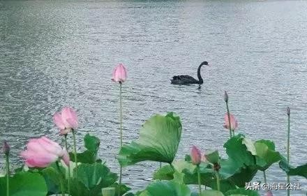 无锡十大免费公园排名榜最新,无锡晚上公园免费景点