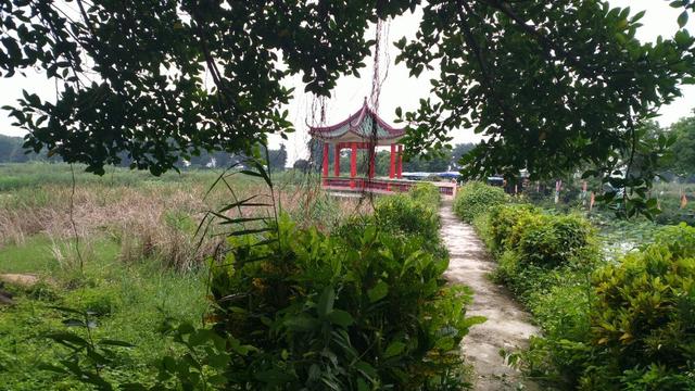 中山崖口美食推荐,崖口村煲仔饭云吞团购