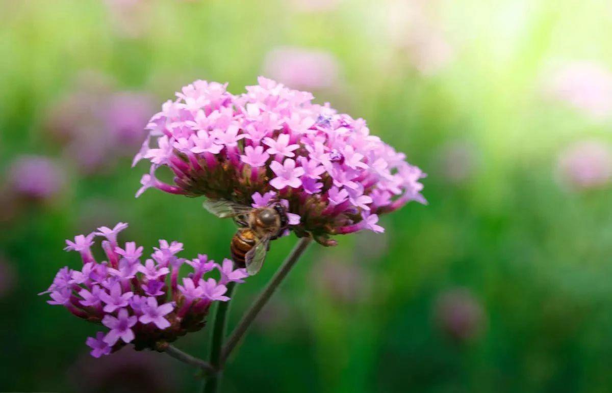 拍摄光圈的基础知识,恒定光圈拍摄常识教程