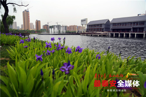 *安泰**西部新城特写——新城书写美丽画卷,实干熔铸发展优势