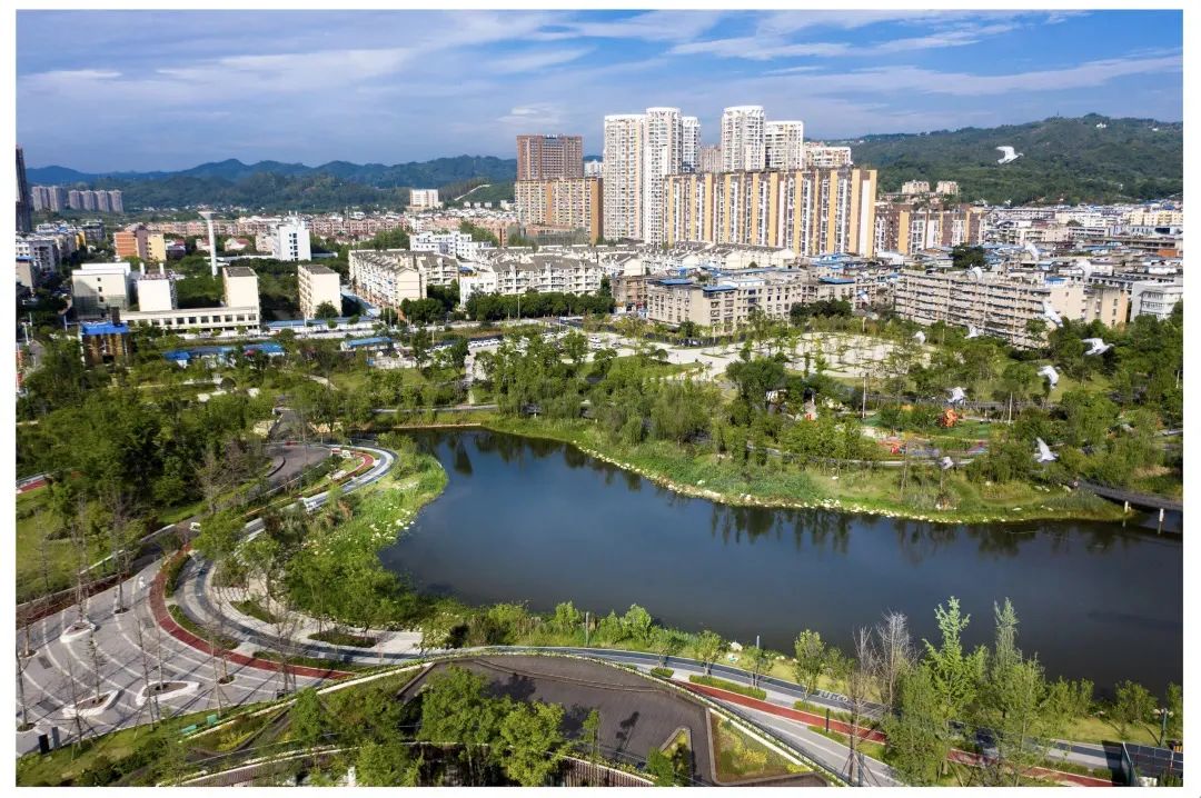 璇诲煄2019,鎴愰兘璇诲煄