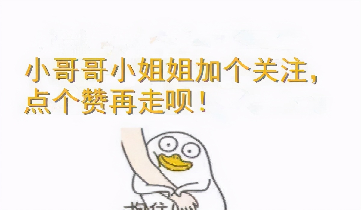 中华田园猫12个品种图小奶猫,中华田园猫12个品种图哪个最好养