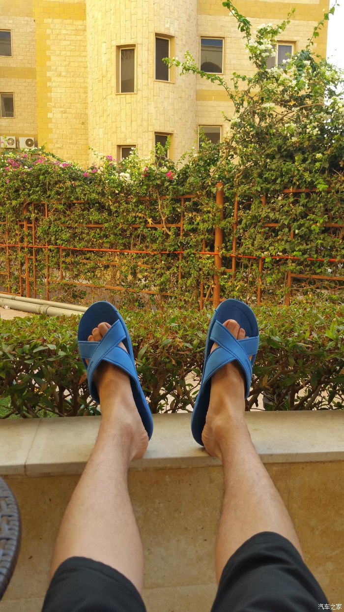 埃及10日游旅游攻略图,埃及六日游路线攻略图高清