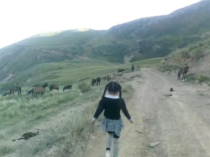 我眼中的历史完整视频,我眼中的历史是什么