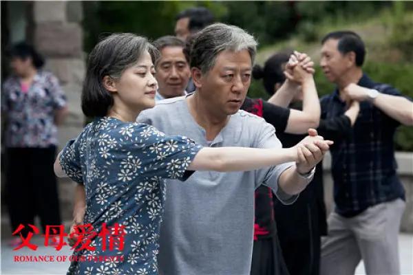 盘点20部国产剧巅峰作品,近十年评分最高的十部国剧