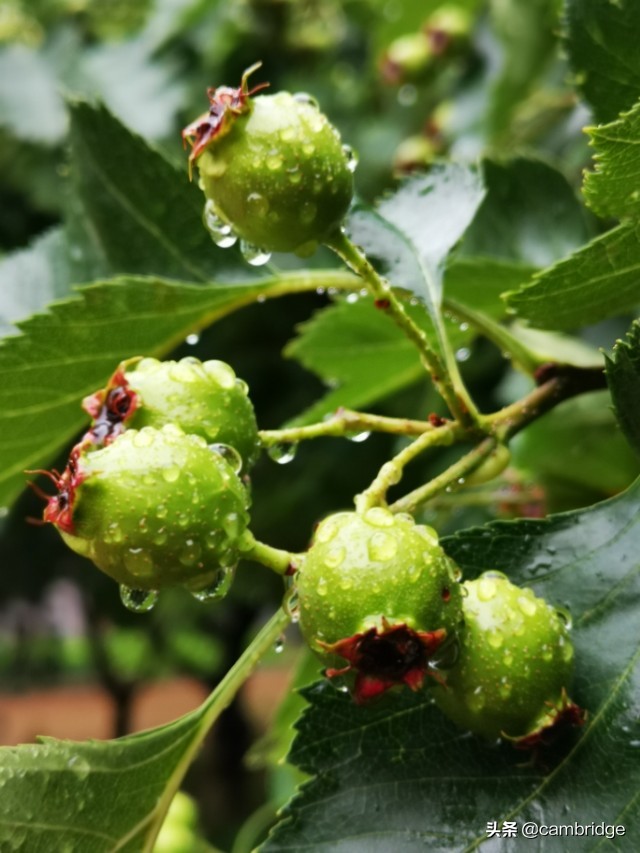 新目标九年级英语unit2知识点总结,人教版九年级英语unite14知识