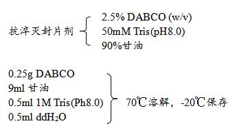 活细胞免疫荧光技术实验步骤,细胞免疫荧光如何做统计分析