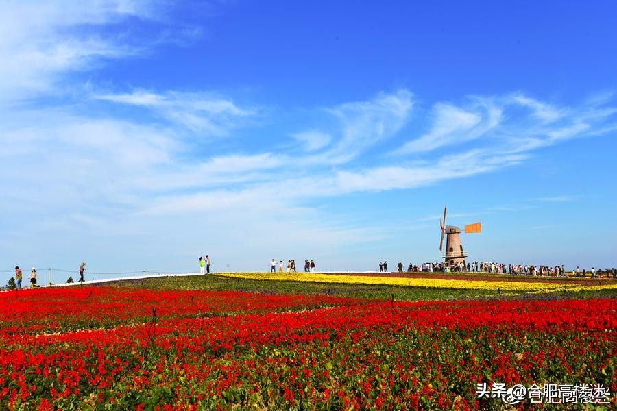 合肥五一旅游景点攻略大全,五一假期合肥旅游人气爆棚