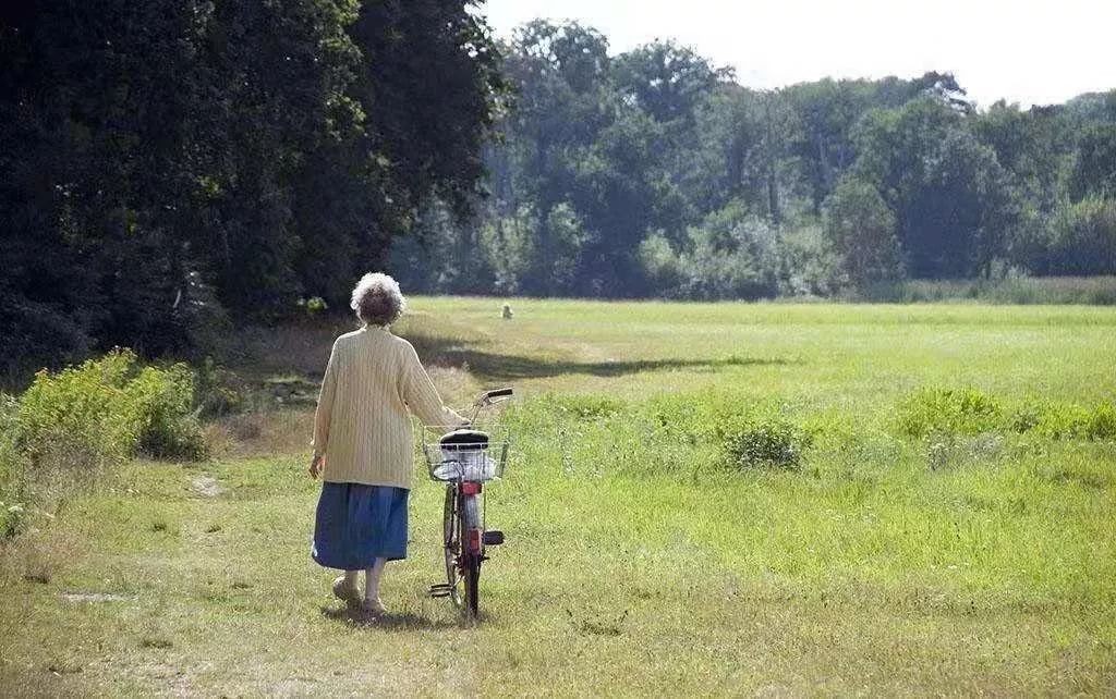 废物式养老成功率,废物式养老最新消息