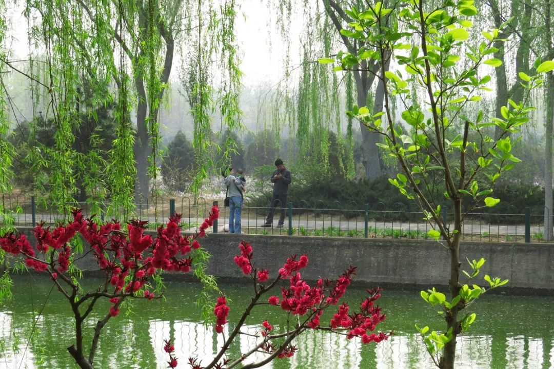 北京戒台寺郊野公园,北京燕山东岭郊野公园