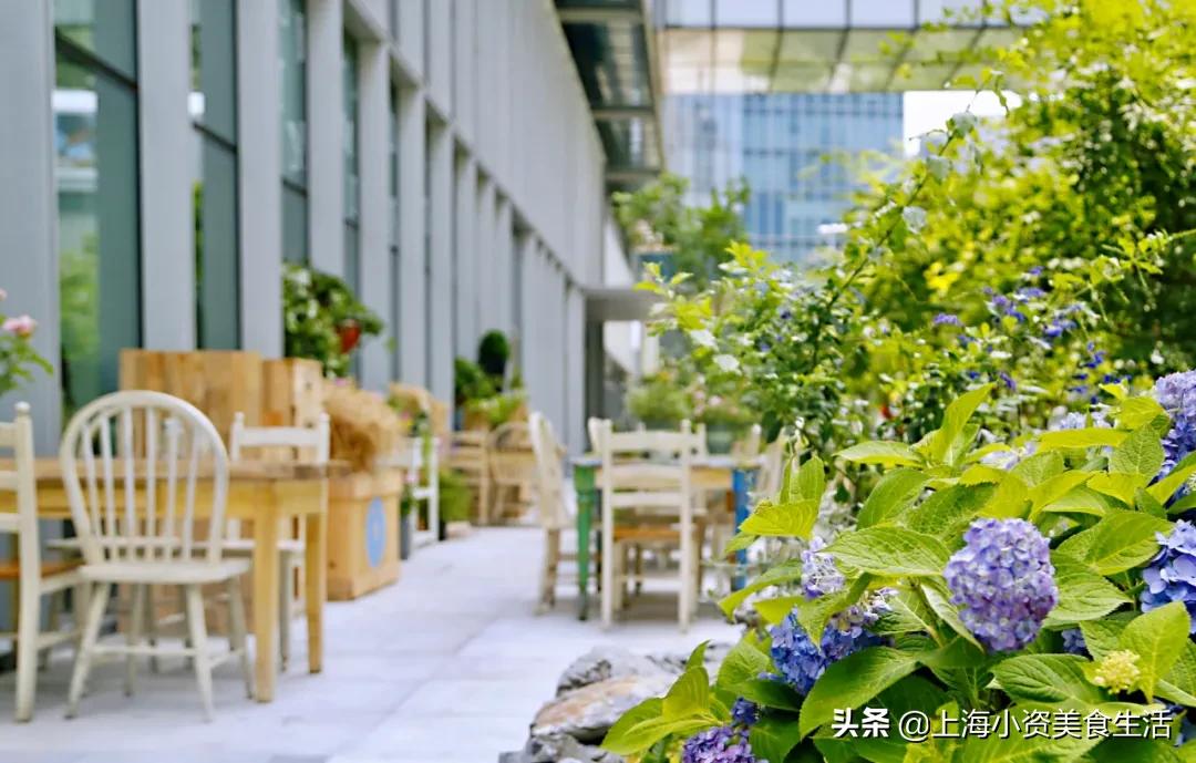 魔都5家绝美阳台,魔都老洋房在梧桐树下