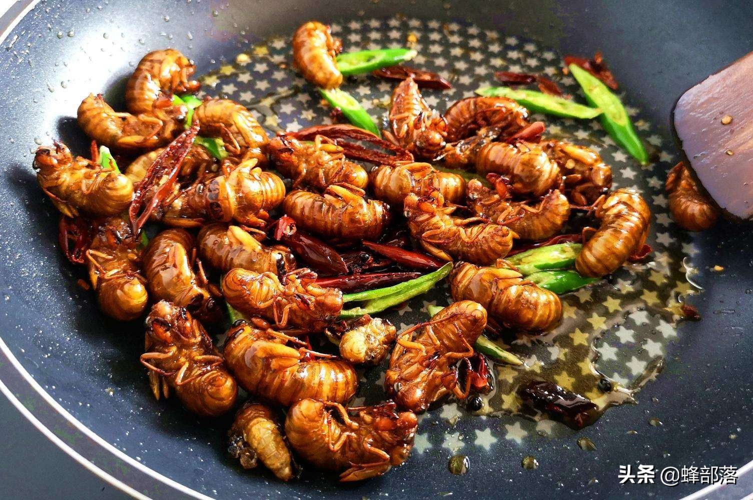 在农村养这9大资源昆虫,许多农民盖新房开豪车,魅力何在?