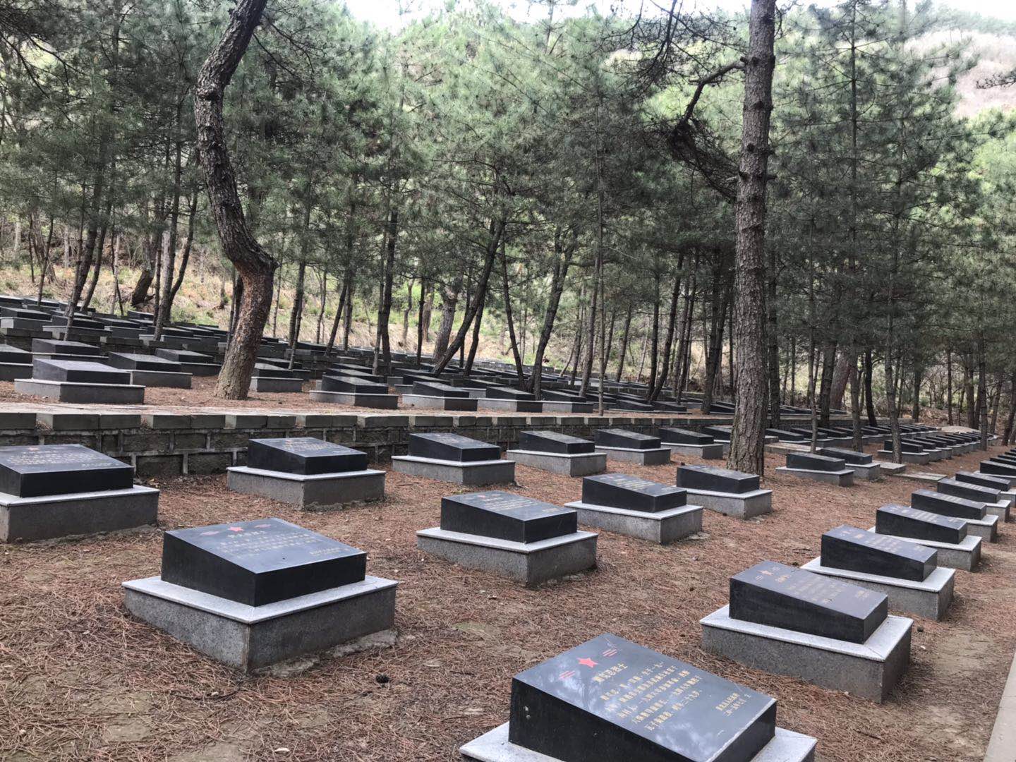 寻找陕西瓦子街战役烈士后人报道 (榆林烈士有哪些事迹)