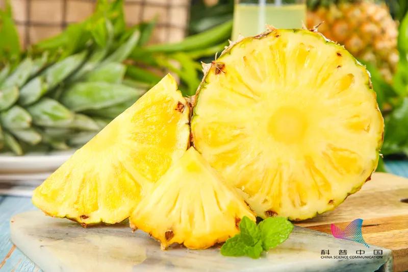 奇异果猕猴桃和车厘子的区别,车厘子和蓝莓菠萝的区别