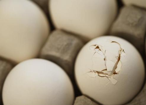 蛋鸡软皮是怎么回事,蛋鸡软壳蛋的防治方法