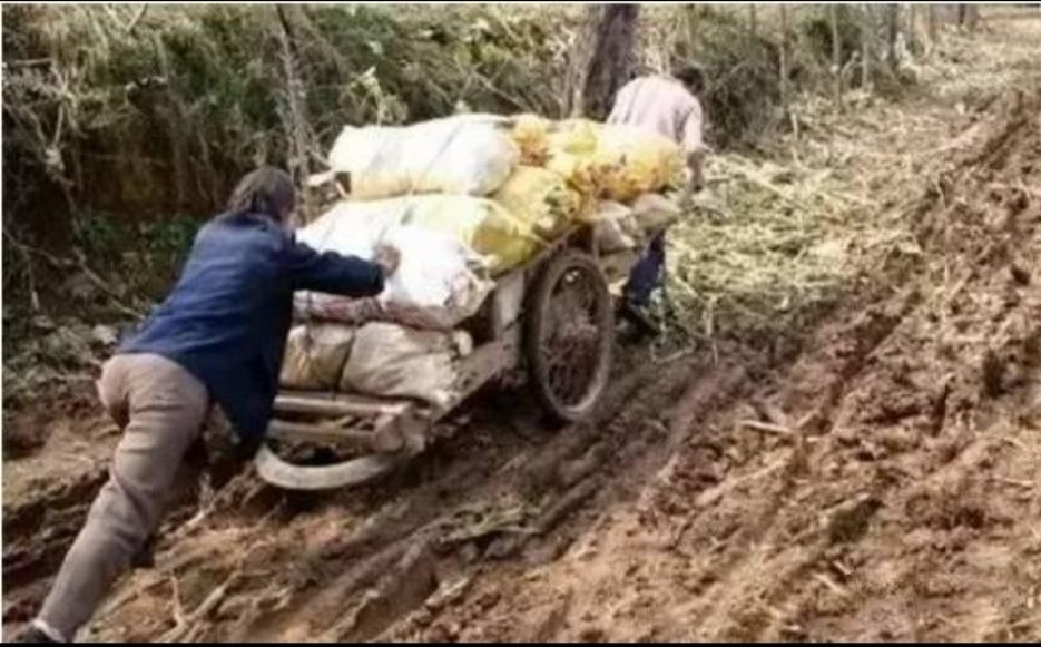 关中背馍上学的日子,背馍河南