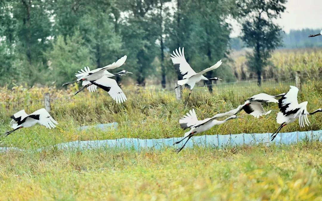 一派和谐的自然风光,一派祥和的自然风光