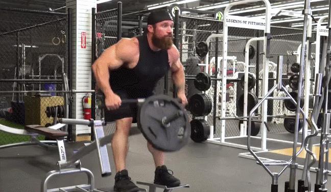 7个基础健身动作训练计划,零基础健身计划动作要领