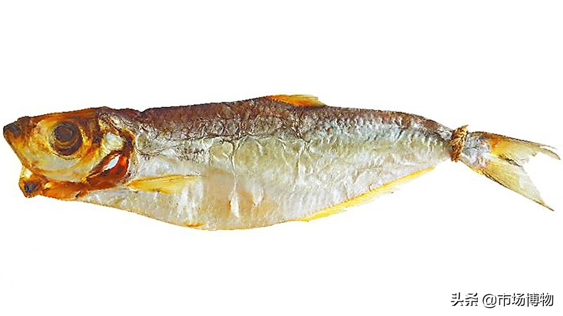 香港咸鱼品种,香港咸鱼