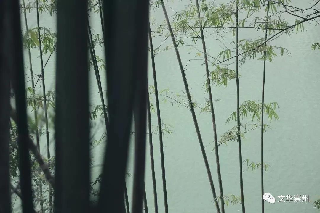 依山傍水,到“历空山·道明”感受世外桃源