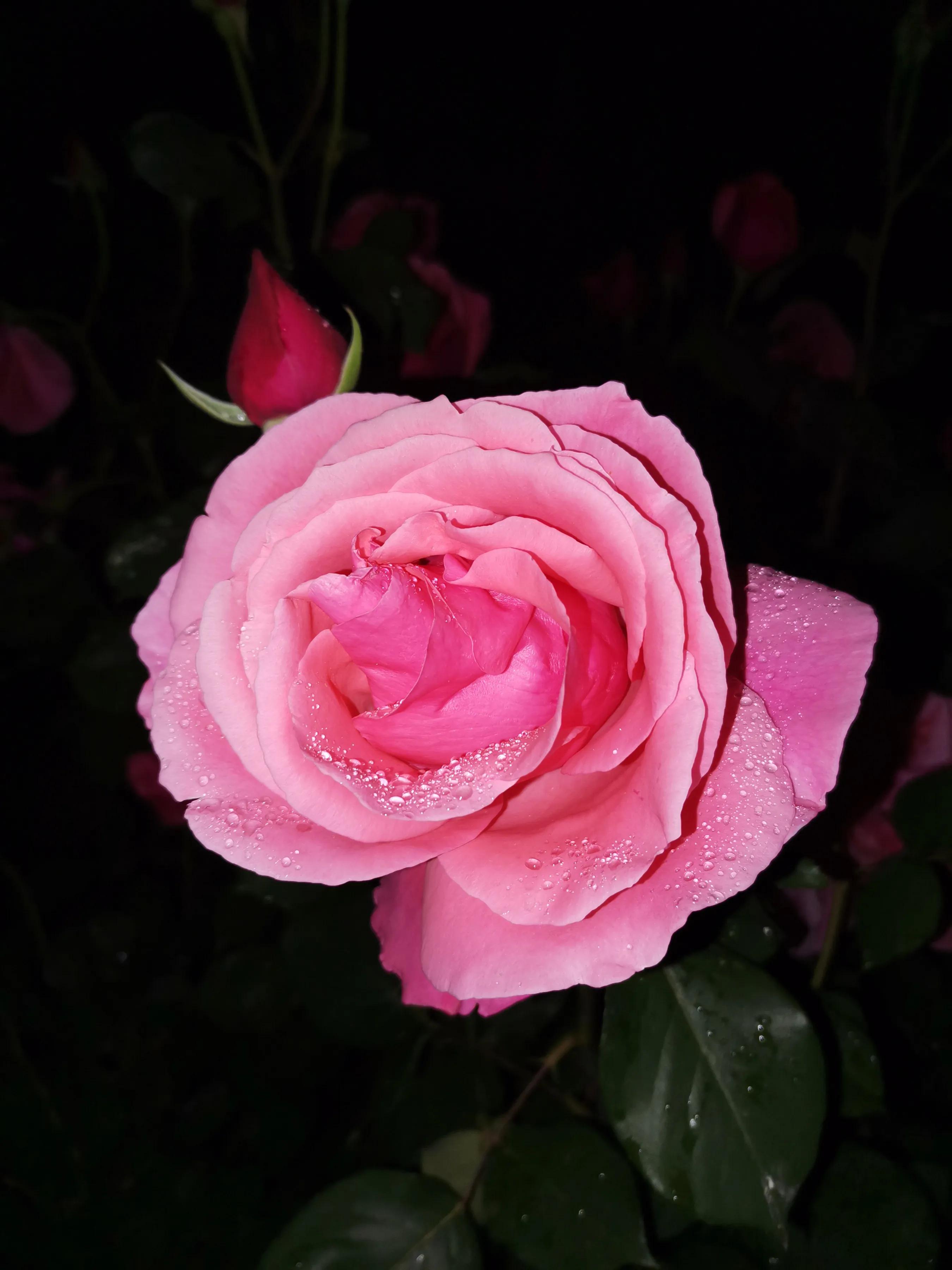 手拍世界投稿,手拍世界作品专集