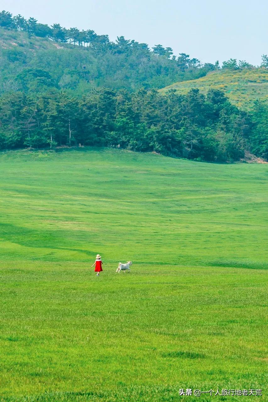 北方这座海滨老城，樱花不输日本，浪漫更胜巴黎