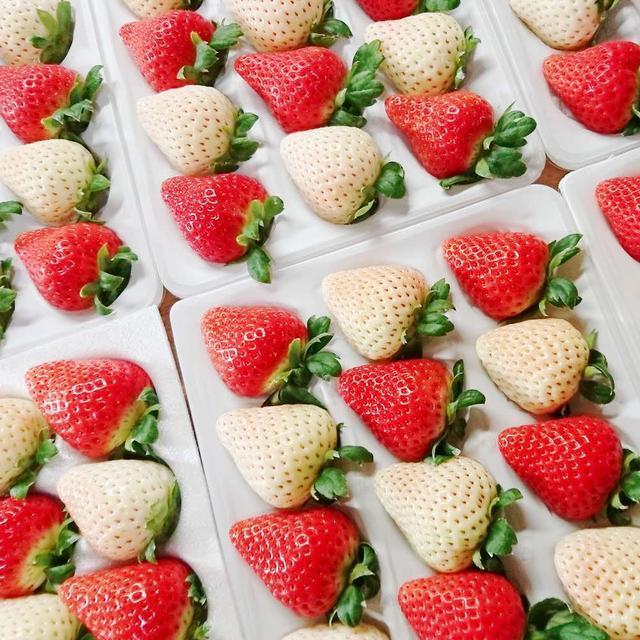 孕妇买草莓被婆婆和老公斥责 (孕妇买天价草莓)