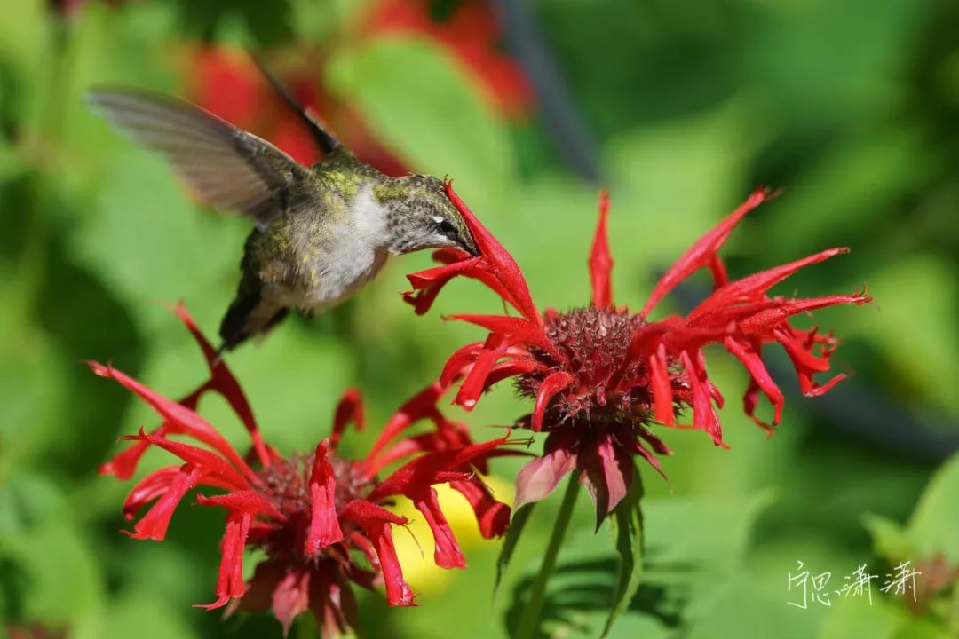 对焦方式怎么调整单次对焦,视频对焦4分钟学会30种对焦策略