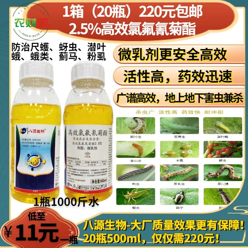 治蚧壳虫的土方法,用药指南蚧壳虫