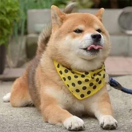 打嗝不止怎么办治打嗝小妙招,打嗝不止怎么办最快最有效的方法